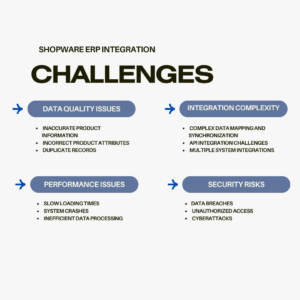 shopware erp integration challenges