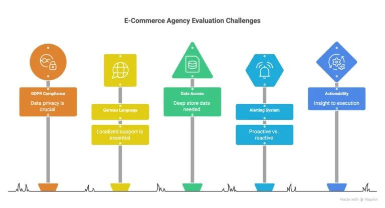 The-Evaluation-Framework-for-German-E-Commerce-Agencies